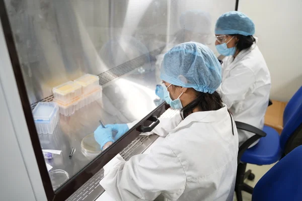 Genetic Toxicology and Alternative Toxicity Testing